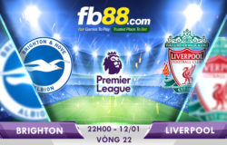 soi kèo brighton vs liverpool