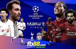 tottenham vs liverpool chung kết cup c1