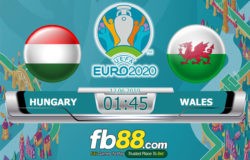 soi kèo hungary vs wales