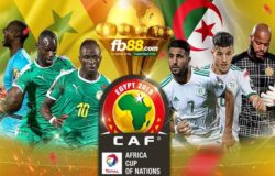 nhận định kèo bóng đá senegal vs algeria