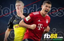 fb88 Sát thủ Lewandowski dành lời khuyên đặc biệt cho Haaland