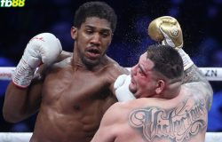 Anthony Joshua