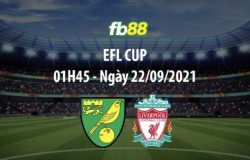 Norwich vs Liverpool