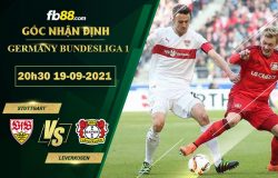 Fb88 soi kèo trận đấu Stuttgart vs Leverkusen