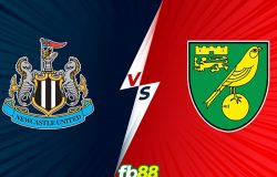 Newcastle vs Norwich