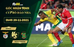 Fb88 soi kèo trận đấu Benfica vs Pacos Ferreira