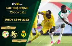 Fb88 soi kèo trận đấu Senegal vs Guinea