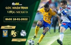 Fb88 soi kèo trận đấu Tigres UANL vs Puebla