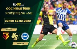 Fb88 soi kèo trận đấu Watford vs Brighton