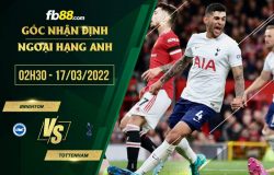 fb88-soi kèo Brighton vs Tottenham