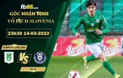 Fb88 soi kèo trận đấu Olimpija Ljubljana vs Celje