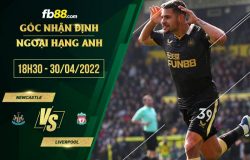 fb88-soi kèo Newcastle vs Liverpool