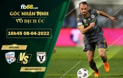 Fb88 soi kèo trận đấu Adelaide vs Macarthur FC