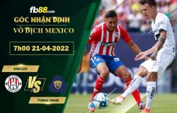 Fb88 soi kèo trận đấu San Luis vs Pumas UNAM