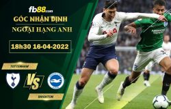 Fb88 soi kèo trận đấu Tottenham vs Brighton