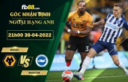 Fb88 soi kèo trận đấu Wolves vs Brighton