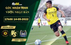 Fb88 soi kèo trận đấu Kashiwa Reysol vs Gamba Osaka