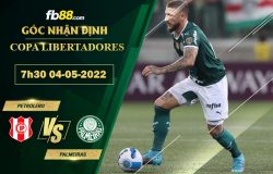 Fb88 bảng kèo trận đấu Petrolero vs Palmeiras