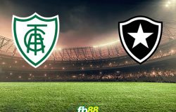 America MG vs Botafogo FR