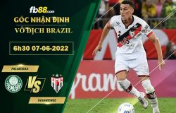 Fb88 soi kèo trận đấu Palmeiras vs Goianiense