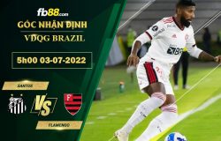 Fb88 soi kèo trận đấu Santos vs Flamengo