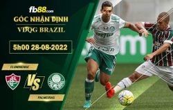 Fb88 soi kèo trận đấu Fluminense vs Palmeiras