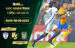 Fb88 soi kèo trận đấu Pachuca vs Tigres UANL