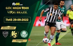 Fb88 soi kèo trận đấu Atletico Mineiro vs Palmeiras