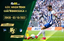 fb88-soi kèo Hertha Berlin vs Hoffenheim