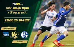 Fb88 soi kèo trận đấu Hertha Berlin vs Schalke