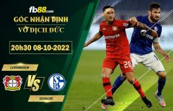 Fb88 soi kèo trận đấu Leverkusen vs Schalke