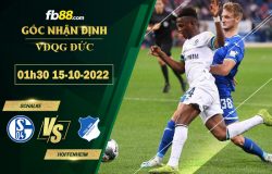 Fb88 soi kèo trận đấu Schalke vs Hoffenheim