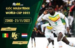 fb88-soi kèo Senegal vs Hà Lan