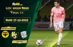 Fb88 bảng kèo trận đấu Wellington Phoenix vs Adelaide