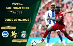 Fb88 soi kèo trận đấu Brighton vs Liverpool