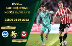 Fb88 soi kèo trận đấu Brighton vs Brentford