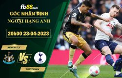 Fb88 soi kèo trận đấu Newcastle vs Tottenham