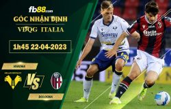 Fb88 soi kèo trận đấu Verona vs Bologna