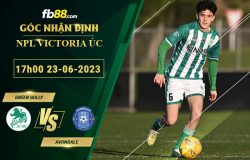 Fb88 soi kèo trận đấu Green Gully vs Avondale