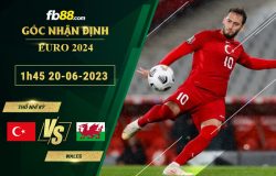 Fb88 soi kèo trận đấu Thổ Nhĩ Kỳ vs Wales