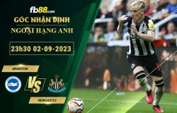 Fb88 soi kèo trận đấu Brighton vs Newcastle