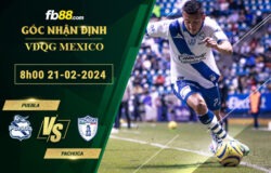 Fb88 soi kèo trận đấu Puebla vs Pachuca