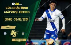 fb88-soi kèo Puebla vs Tigres UANL