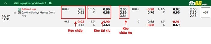 fb88-bảng kèo trận đấu Bulleen Lions vs Caroline Springs