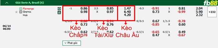 Fb88 bảng kèo trận đấu Flamengo vs Gremio