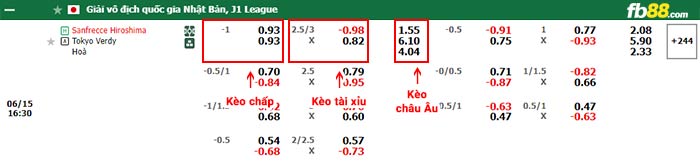 fb88-bảng kèo trận đấu Sanfrecce Hiroshima vs Tokyo Verdy