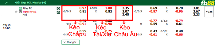 Fb88 bảng kèo trận đấu Atlas vs Tigres UANL