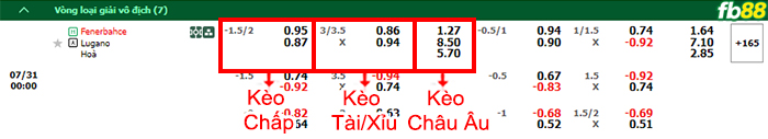 Fb88 bảng kèo trận đấu Fenerbahce vs Lugano