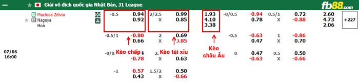 fb88-bảng kèo trận đấu Machida Zelvia vs Nagoya Grampus