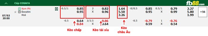 fb88-bảng kèo trận đấu Nam Phi vs Eswatini